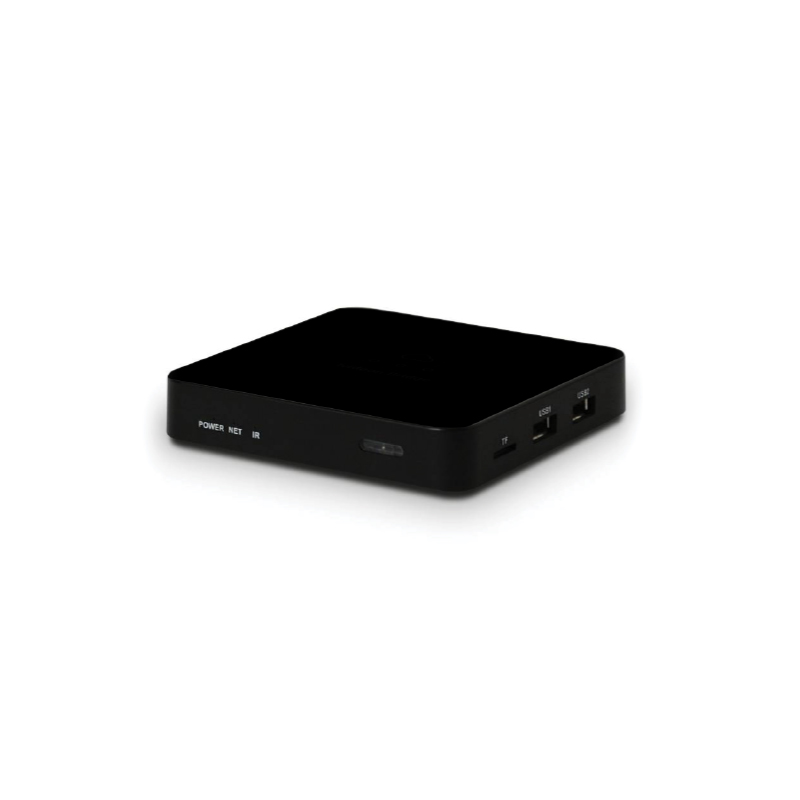 Hybrone Video Bridge